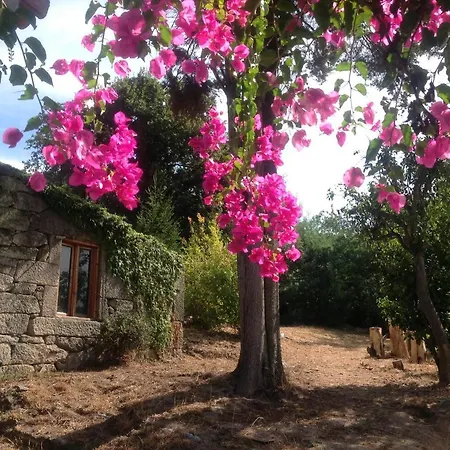 ロッジ Cabana Piedra